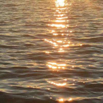 BOB·体育综合APP下载